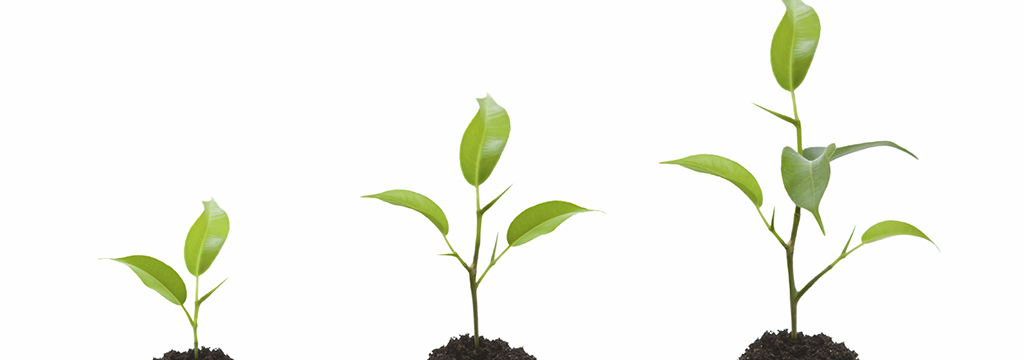 Church Planting